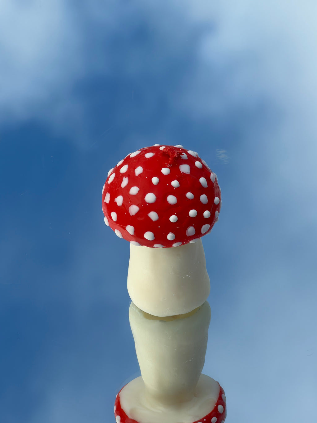 MUSHROOM & PUMPKIN GIFT BOX