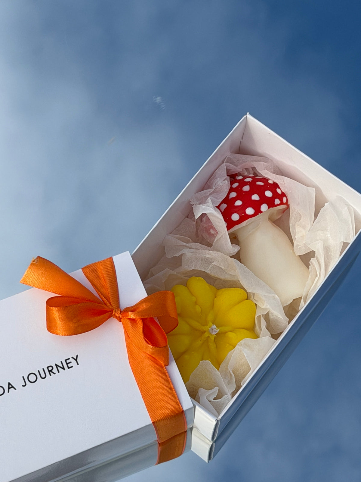 MUSHROOM & PUMPKIN GIFT BOX