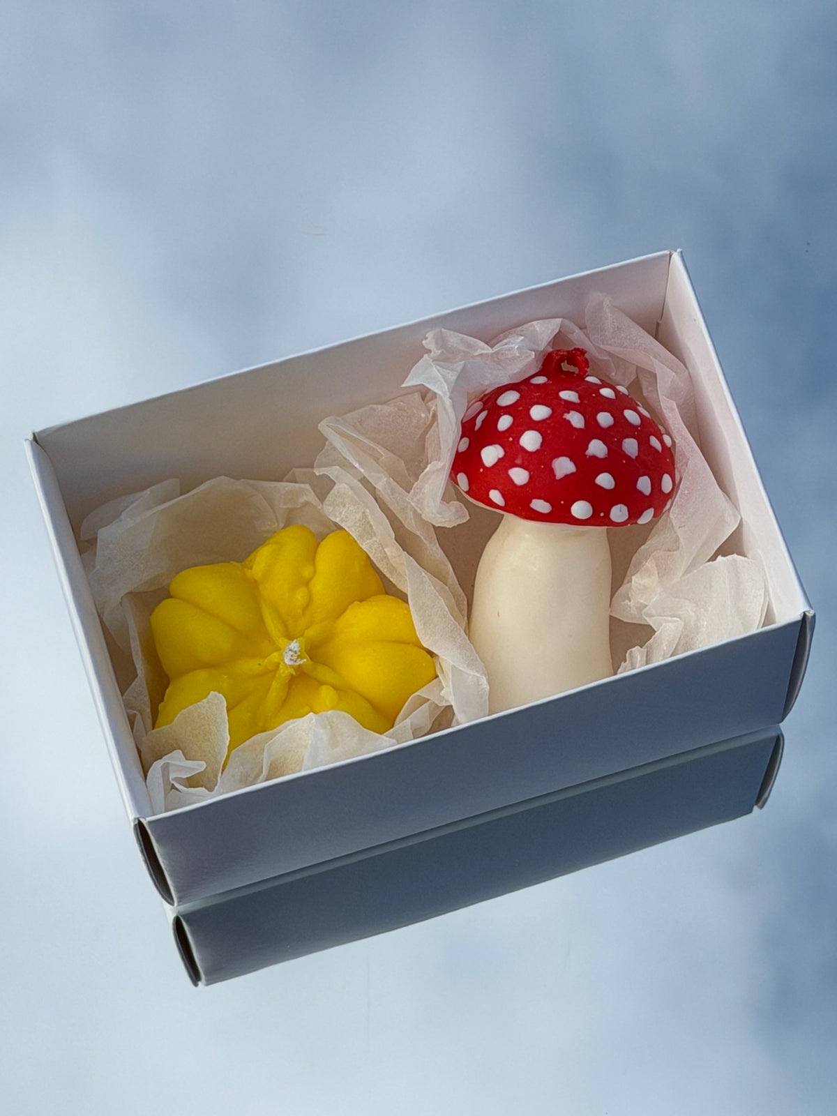 MUSHROOM & PUMPKIN GIFT BOX