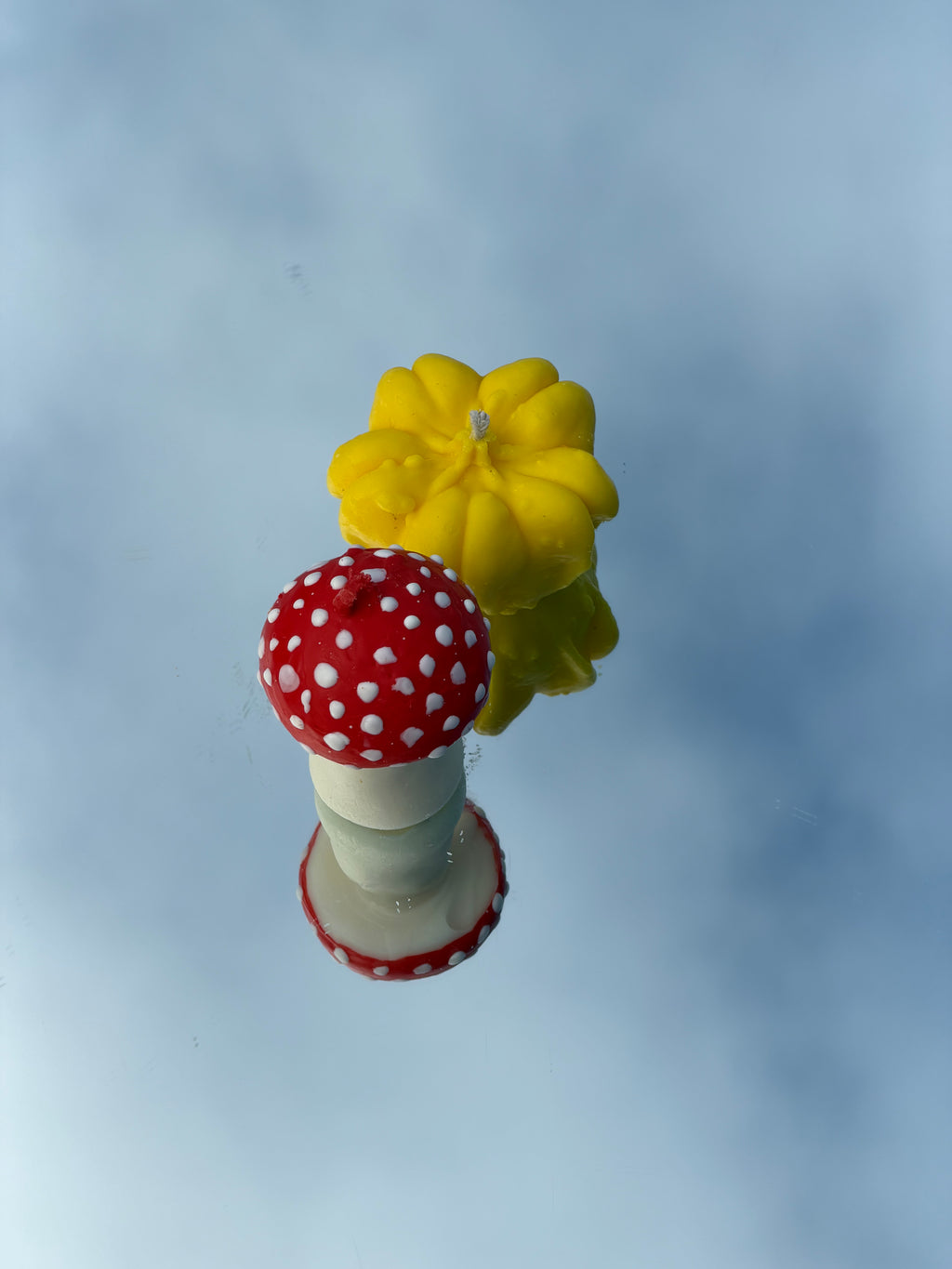 MUSHROOM & PUMPKIN GIFT BOX