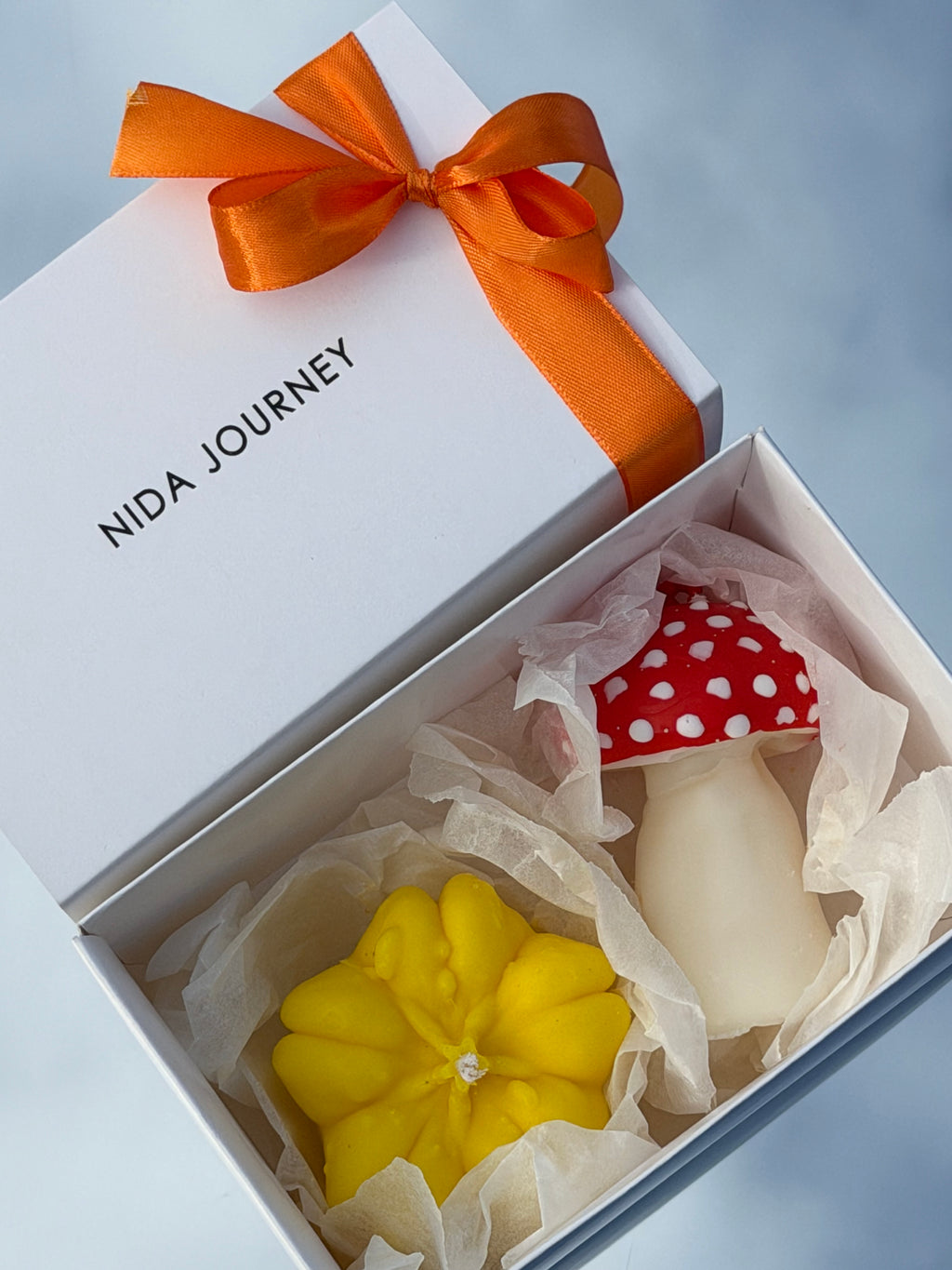 MUSHROOM & PUMPKIN GIFT BOX