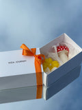 MUSHROOM & PUMPKIN GIFT BOX